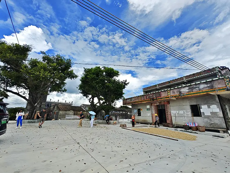 MC village in jiangmen